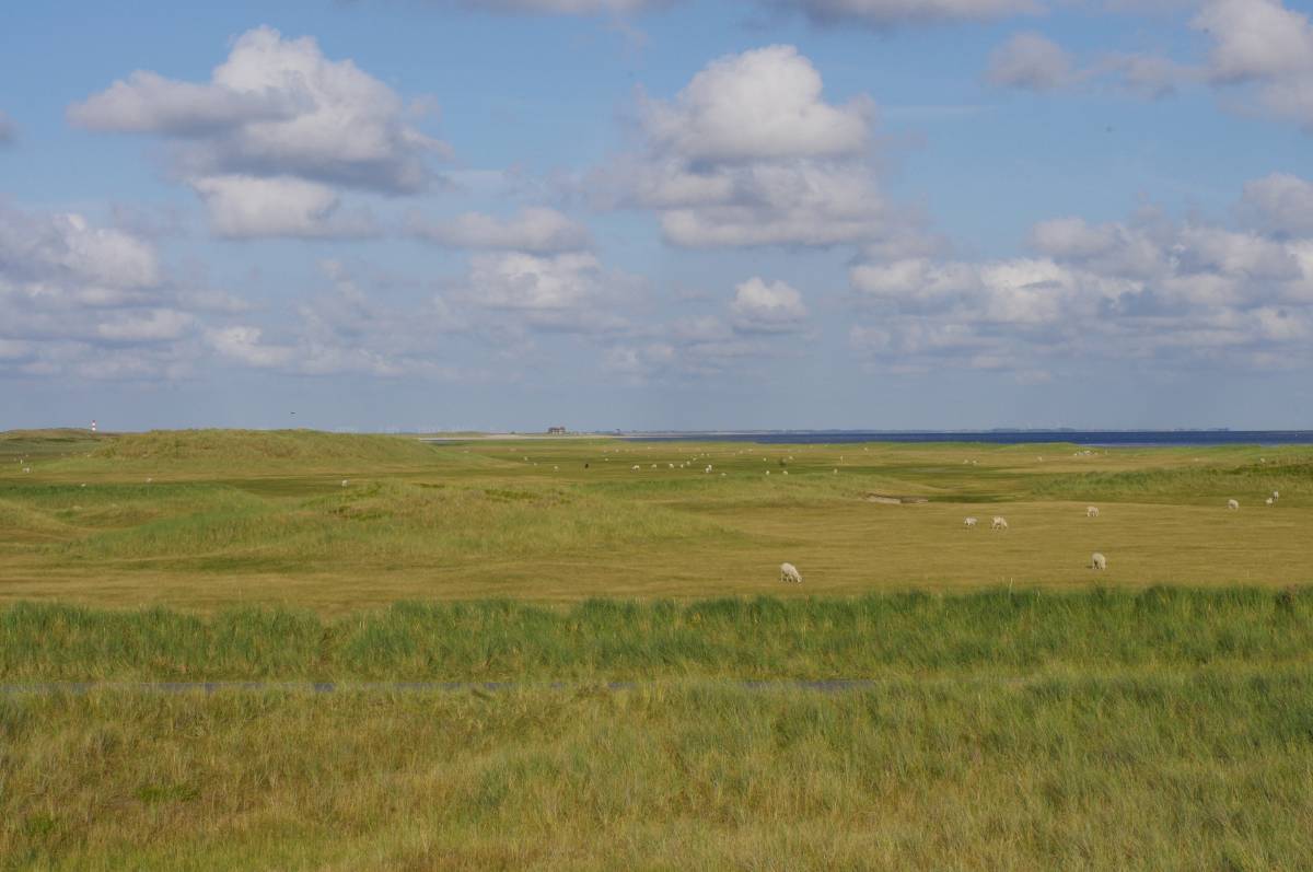 Dünen