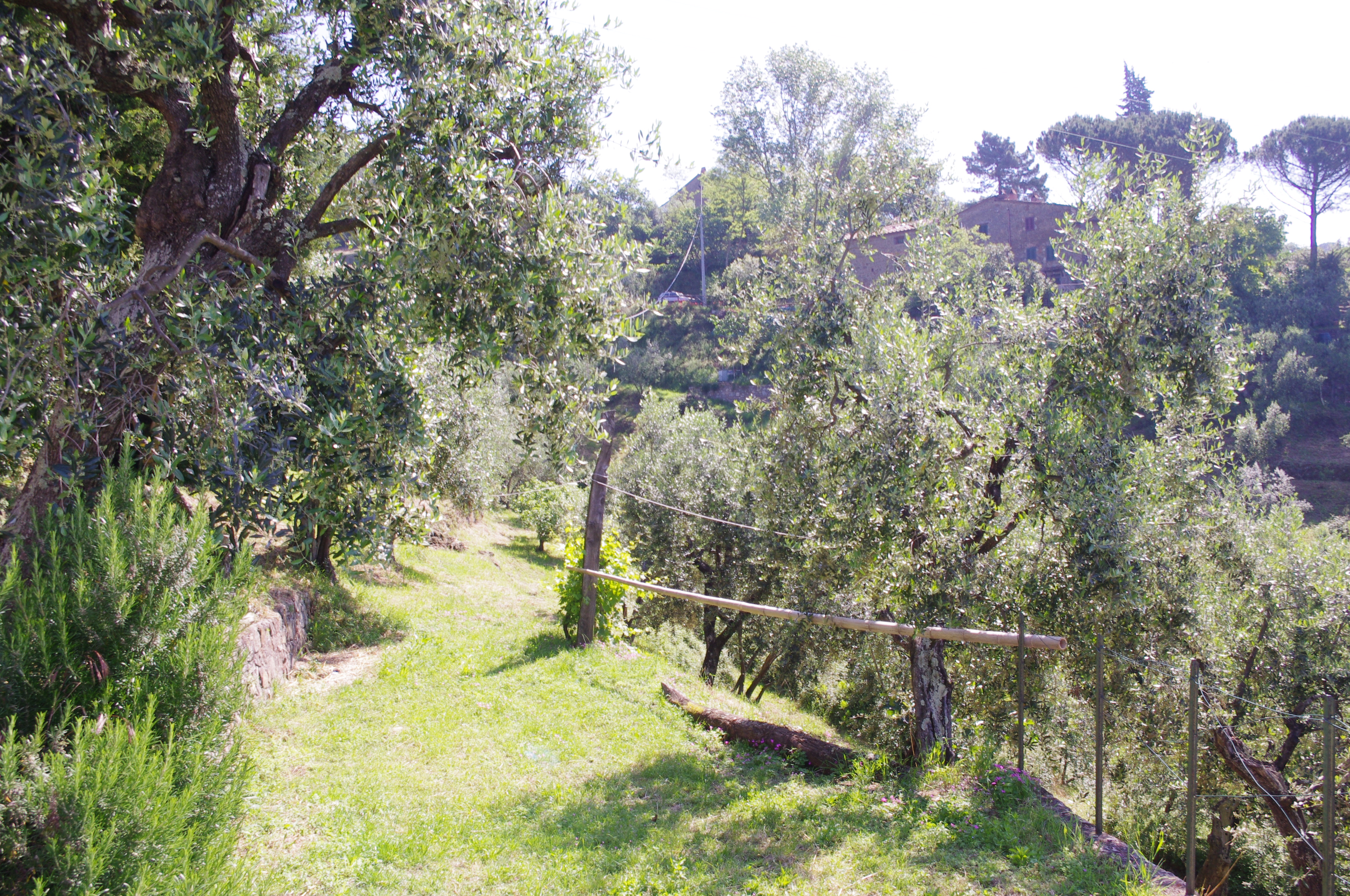 Toskana Pur