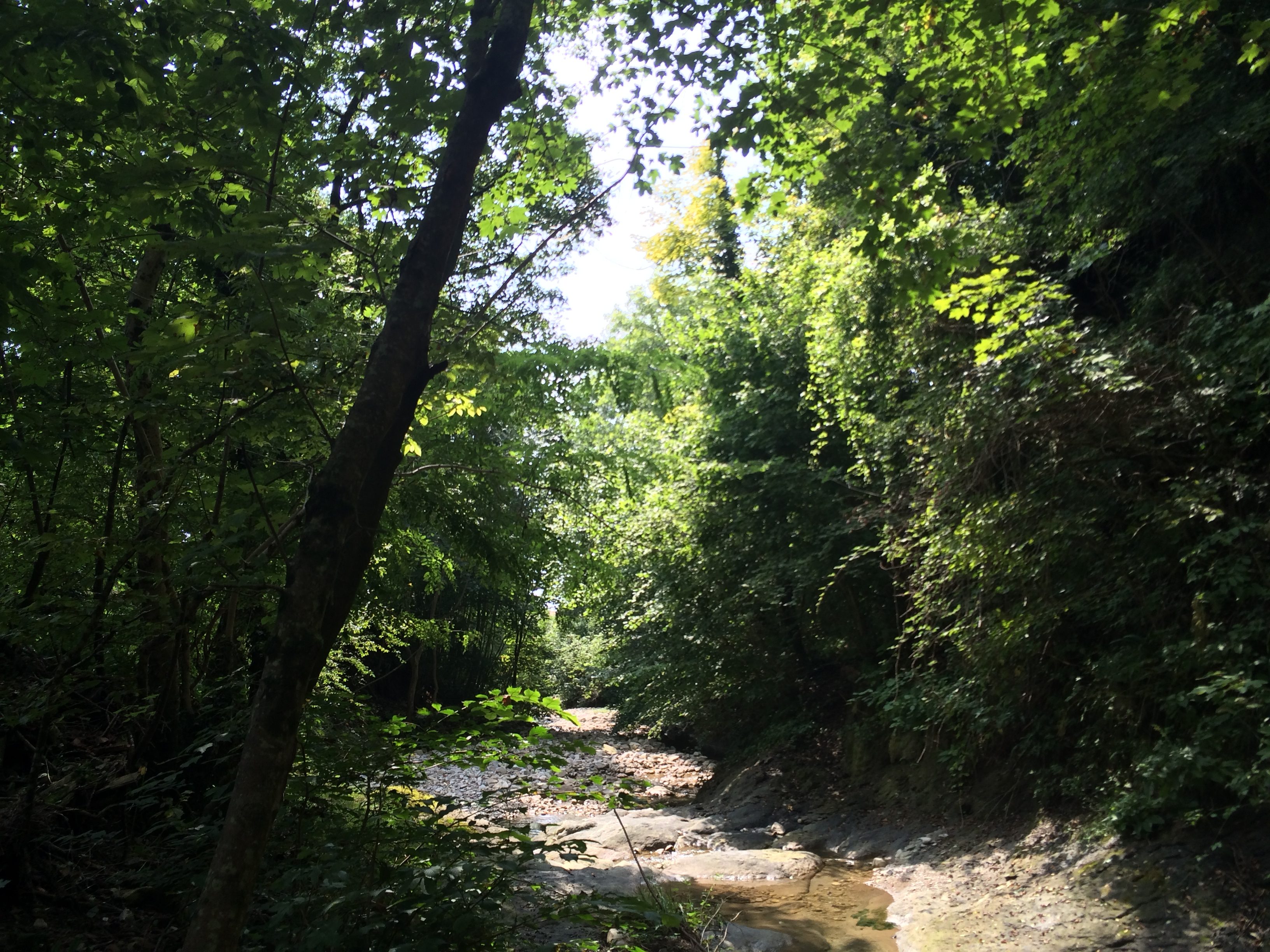 Naturschönheit