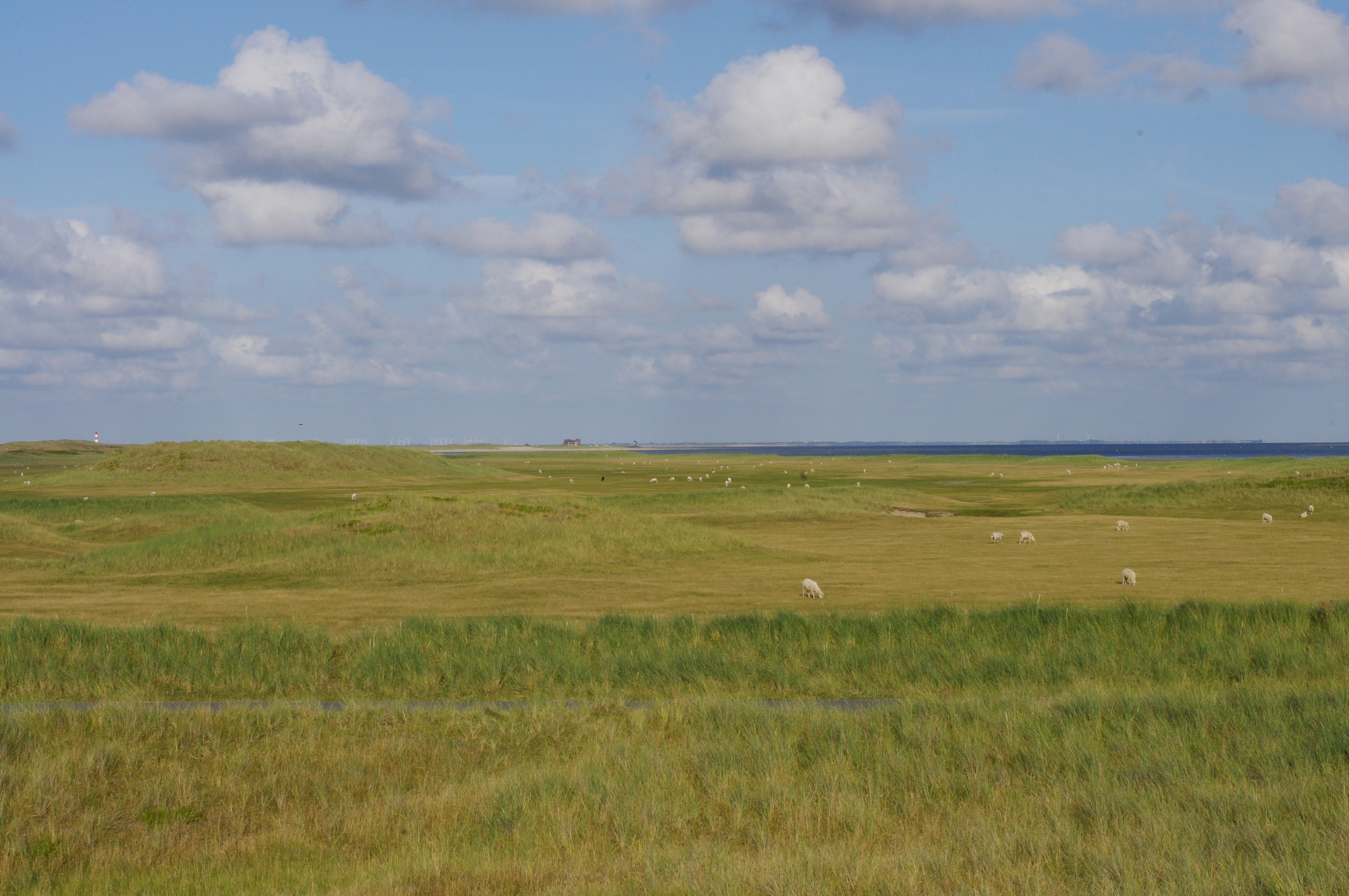 Dünen