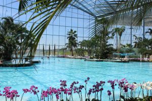 Paradies Thermen- und Badewelt