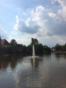 Burgweiher in Dreieich