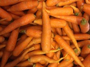 Karotten vom Biohof