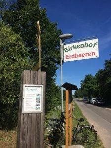 Erdbeerenpflücken